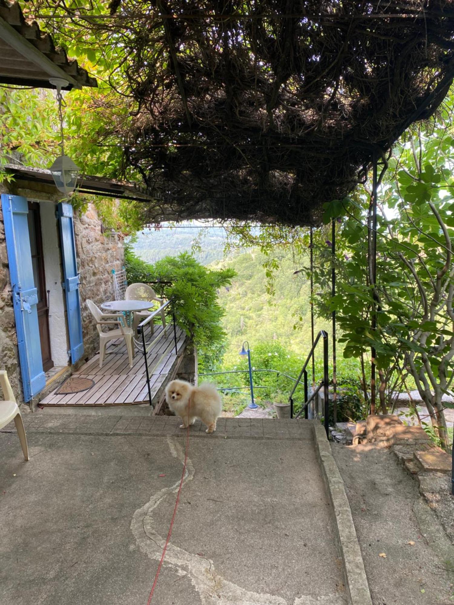 Villa Lou-Pelou Gravieres Exterior foto